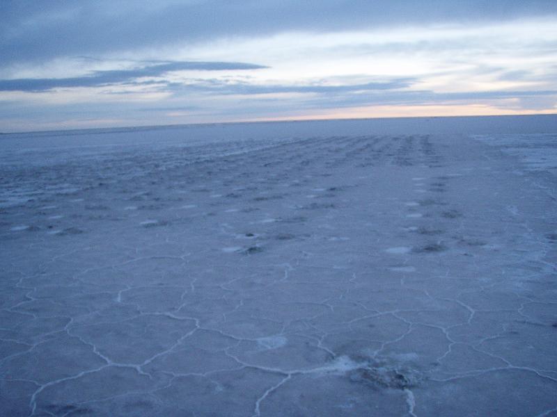 Coipasa Salt Flats (46).JPG